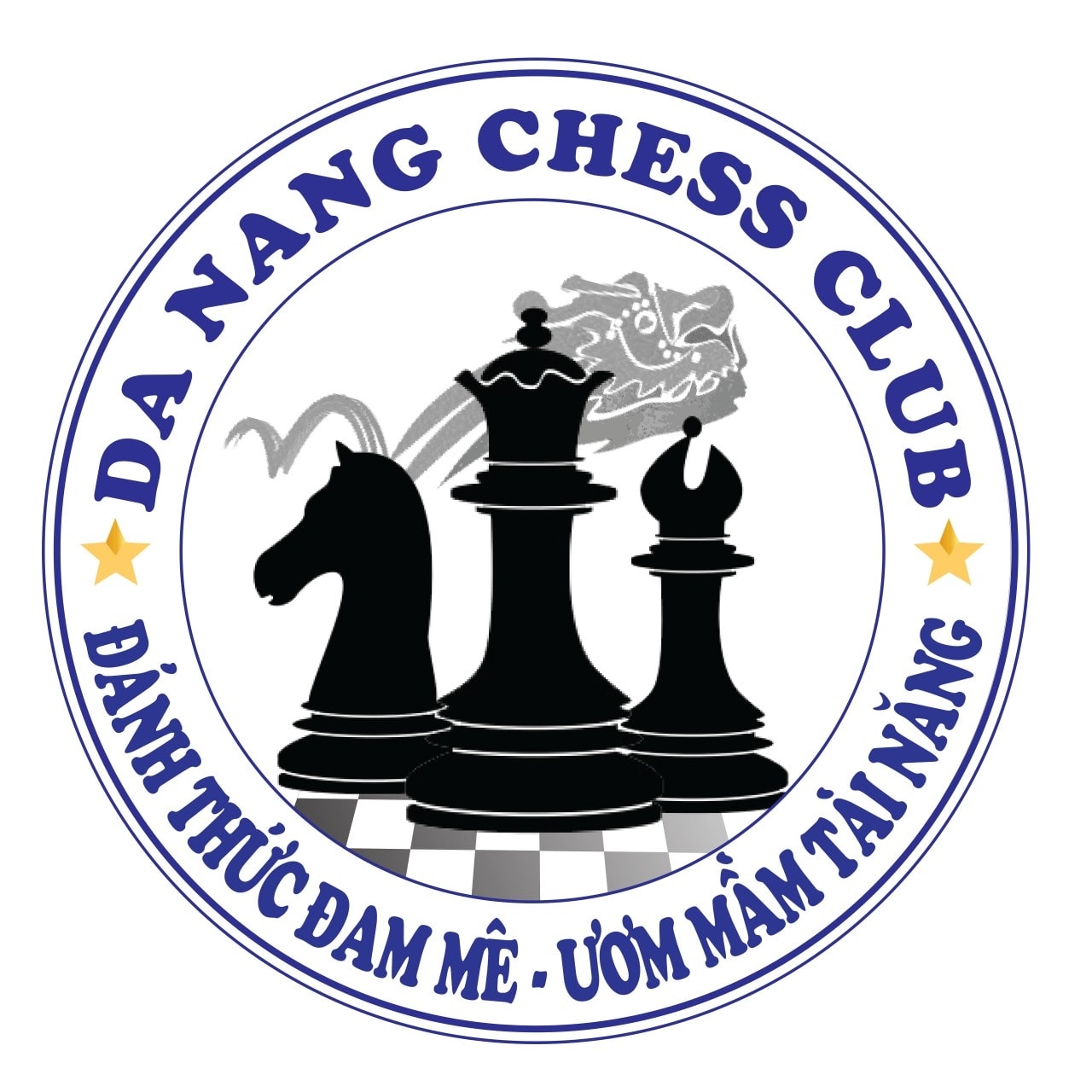 GIẢI VÔ ĐỊCH CỜ VUA TRANH CÚP DANANG CHESS CLUB MỞ RỘNG NĂM 2024 301864925_563619412222138_8875590127375983129_n